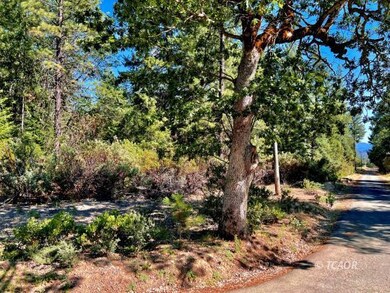 291 Oliva Dr, Hayfork, CA 96041 - photo 5