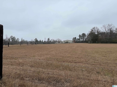 325 Washington Ave, Wellington, AL 36279 - photo 6