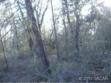 247 Indian Lakes Forest Rd, Florahome, FL 32140 - photo 2
