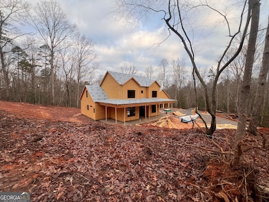 329 Twisting Ridge Trail, Demorest, GA 30535 - photo 3