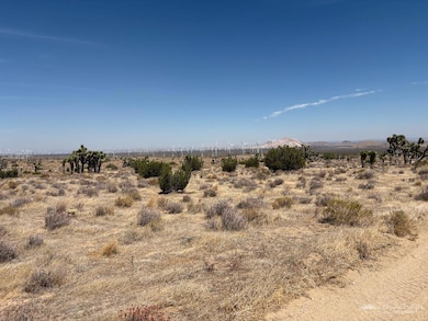 0 Tehachapi Willow Springs Rd, Mojave, CA 93501 - photo 5