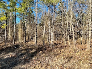 538 Lukfata Fork Trail, Broken Bow, OK 74728 - photo 5