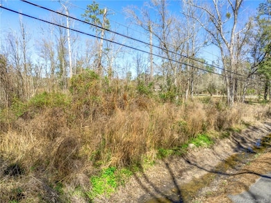 0 Cascio Rd, Moss Bluff, LA 70611 - photo 7