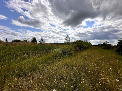 XXX Curry Rd unit Eileen, Eileen, WI 54856 - photo 3