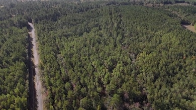 0 McDonald Rd, Lucedale, MS 39452 - photo 4