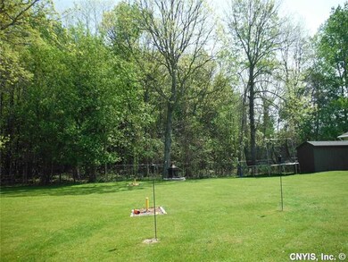 Backyard.