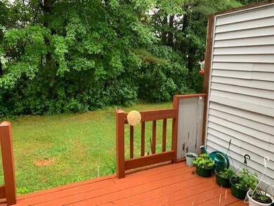 Back yard2