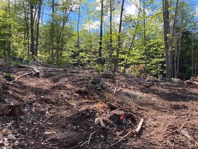 0 Old Carr Rd unit 20 4925108, Antrim, NH 03440 - photo 3