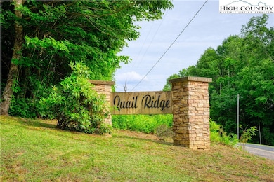 Lot 10 Quail Ridge Dr, Fleetwood, NC 28626 - photo 2
