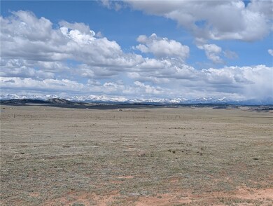1920 Badger Basin Rd, Hartsel, CO 80449 - photo 4