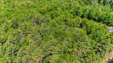 7_dji_20250605112230_0022_d1