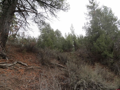 719 E Stollsteimer Rd, Pagosa Springs, CO 81147 - photo 3