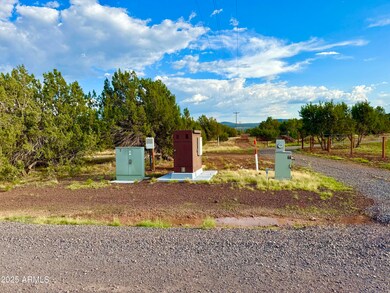 180 Co Rd 3148 Lot #1 2 1 Acres --, Vernon, AZ 85940 - photo 3