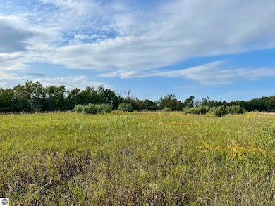 00 Skinner Rd, Ellsworth, MI 49729 - photo 3