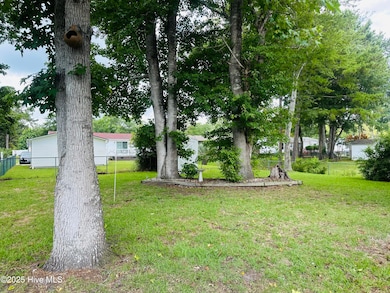 Rear Yard
