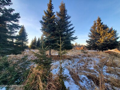 17573 Chefornak St, Happy Valley, AK 99639 - photo 6