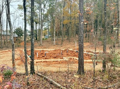 130 Rolling Meadows Way, Waverly Hall, GA 31831 - photo 3