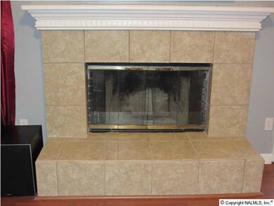 Wood burning fireplace