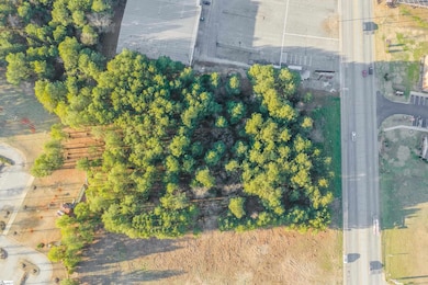 323 Tr B Pearman Dairy Rd, Piedmont, SC 29625 - photo 2