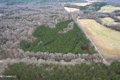 DJI_0571