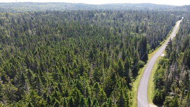 34 Yoho Head Rd, MacHiasport, ME 04655 - photo 5