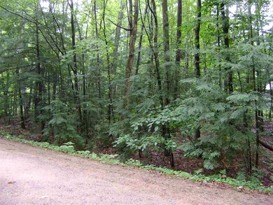 00 Bracco, Moultonborough, NH 03254 - photo 2