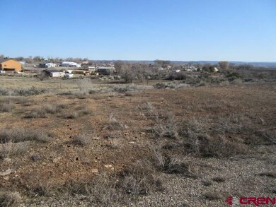 0 Road K 8 unit B 755436, Cortez, CO 81321 - photo 5
