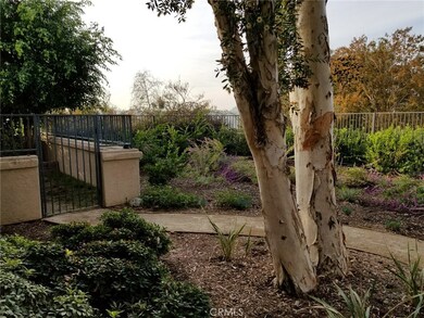 Walkway from front door to back patio