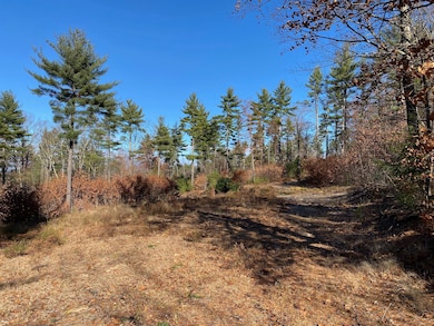 599 Pequawket Trail, Steep Falls, ME 04085 - photo 3