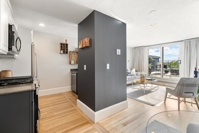 43 Gates St unit 3, Boston, MA 02127 - photo 2