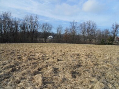 Nice Stand of trees on the lot