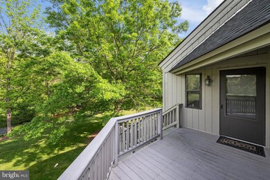 127 Chad Ln, Basye-Bryce Mountain, VA 22810 - photo 6