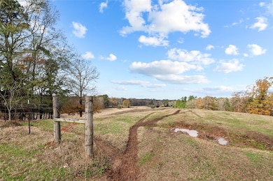 16202 Texas 87 S, Shelbyville, TX 75973 - photo 6