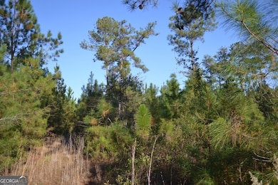 0 Sandpiper Ln unit TRACT 1, Swainsboro, GA 30401 - photo 4