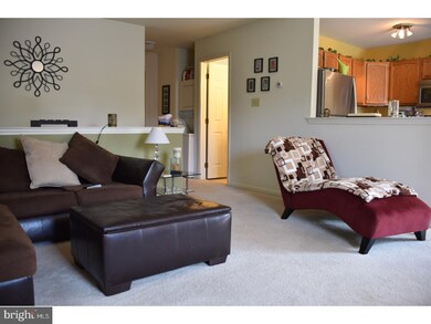 516 Maplewood Ave unit C16, Mohnton, PA 19540 - photo 5