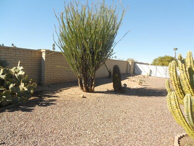 Lakeforest Large Backyard