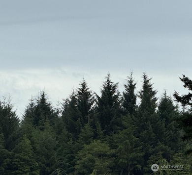 0 Roosevelt Beach unit NWM2459901, Pacific Beach, WA 98571 - photo 2