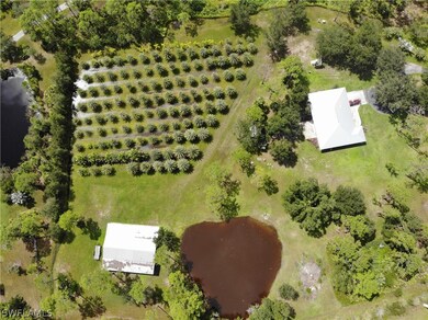 2991 Bateman Rd, Alva, FL 33920 - photo 4