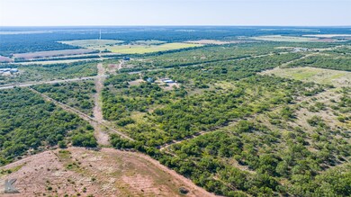 12014 C S Fm 600, Abilene, TX 79601 - photo 5