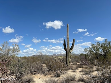 5120 W Lambert Ln, Oro Valley, AZ 85742 - photo 2