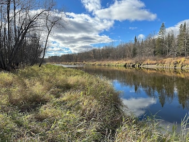 Tbd State Highway 65, Jacobson, MN 55752 - photo 2