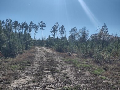 wv39choctaw 002