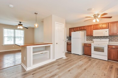 199 Saw Mill Dr, Four Oaks, NC 27524 - photo 7