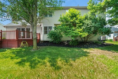 Backyard2