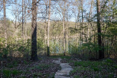 DSC_9251