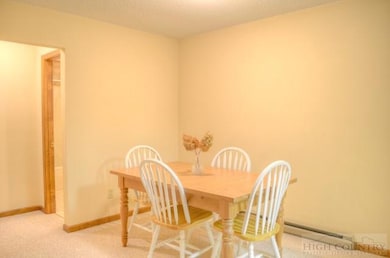155 Glen Burney Ln unit C2, Blowing Rock, NC 28605 - photo 4
