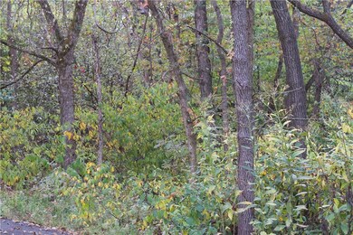 0 Hudson Ln, Bella Vista, AR 72715 - photo 2