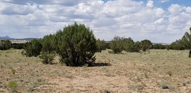 20190618_145401