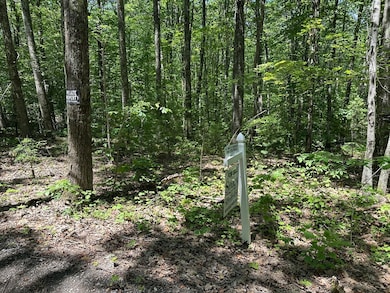 39 Irish Ln, Rutland, MA 01543 - photo 4