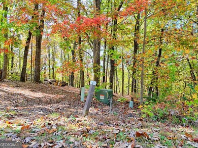LOT 28 Long Mountain Rd, Cleveland, GA 30528 - photo 6